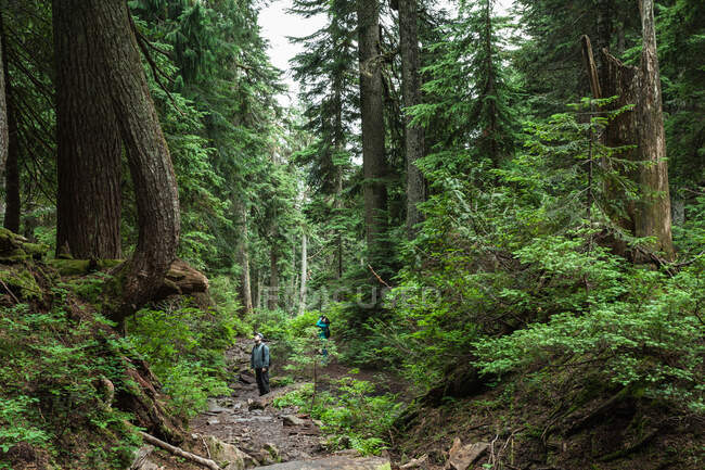 Paar im Wald, Dog Mountain, British Columbia, Kanada — Stockfoto