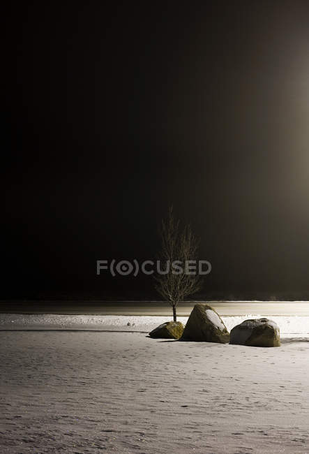 Snowy landscape at night — Stock Photo