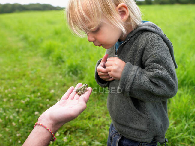 Chica joven tocando una pequeña rana - foto de stock