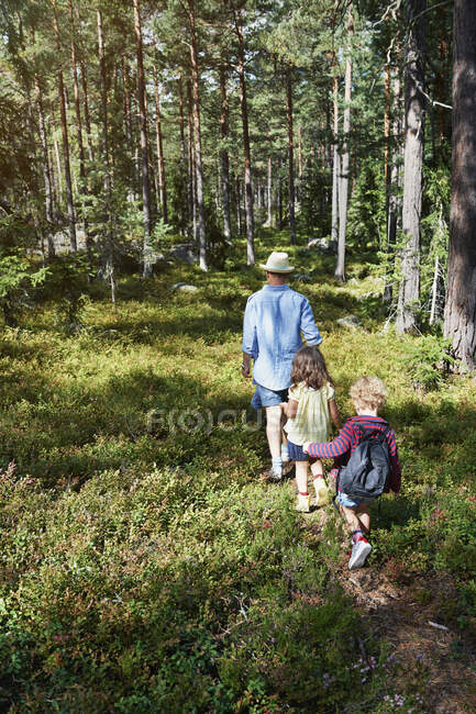 Padre e hijas caminando por el bosque - foto de stock