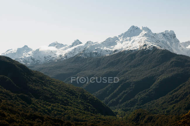 Forêts sur les montagnes enneigées — Photo de stock