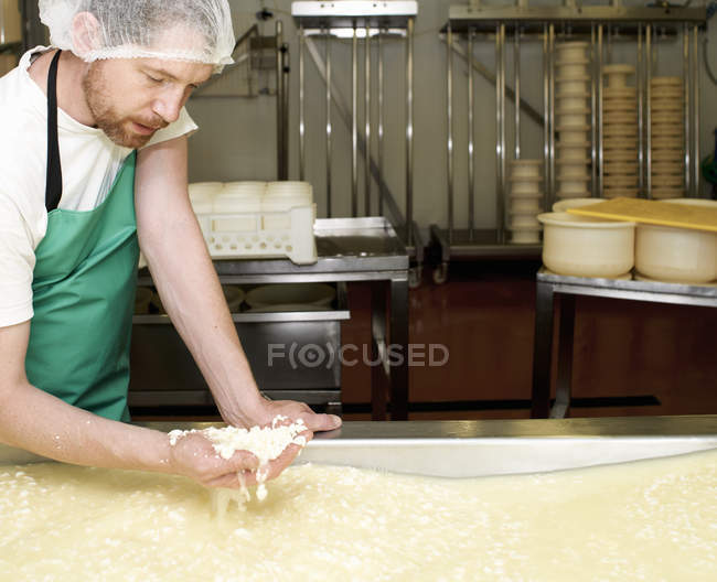 Cheesemaker con un puñado de cuajada en la fábrica de la granja - foto de stock