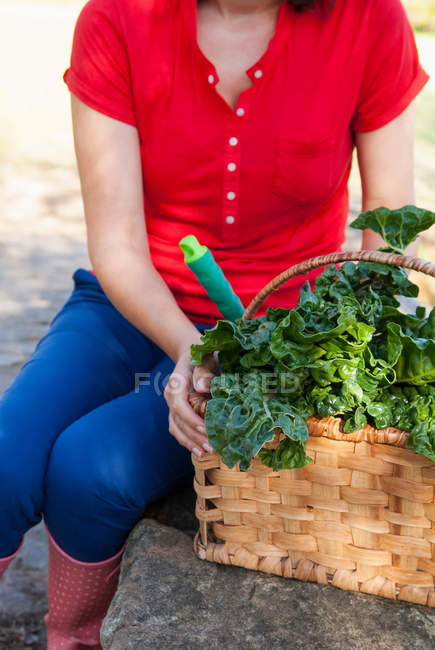 Cropped image of Woman carrying basket of lettuce — Stock Photo