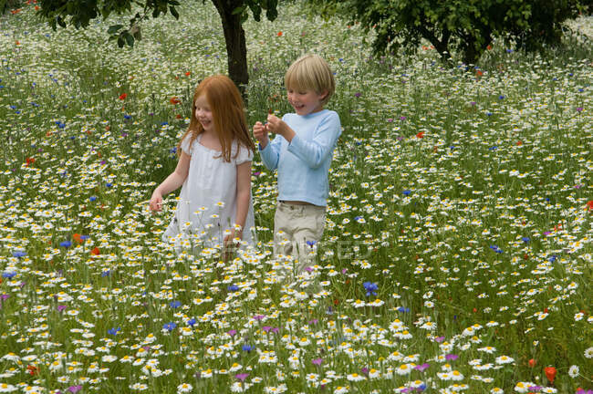 Enfants marchant dans le champ de fleurs — Photo de stock