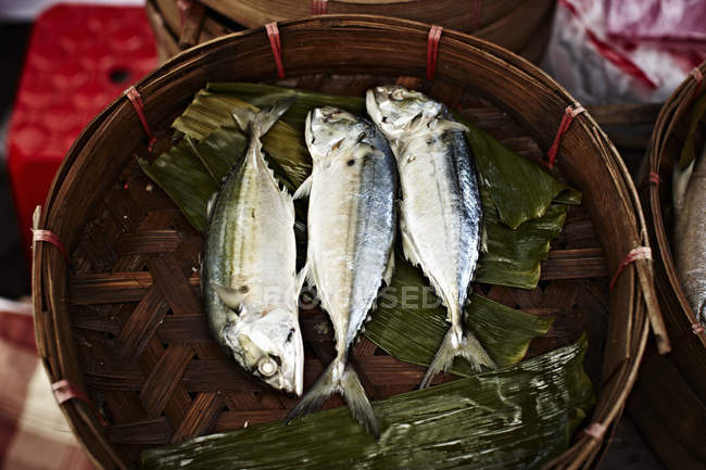 Fishes for sale in food steamer — Stock Photo