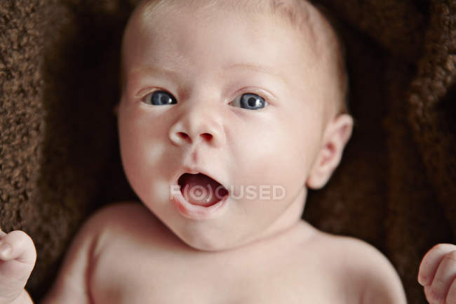 Retrato de bebé mirando a la cámara - foto de stock