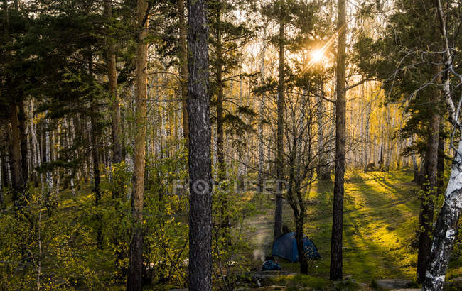 Pessoas sentadas perto da tenda no acampamento ao pôr do sol na floresta — Fotografia de Stock