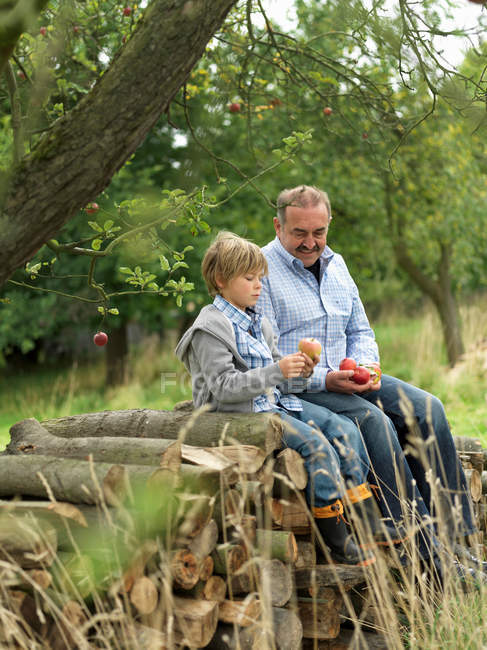 Man and boy with apples, sitting on logs — Stock Photo