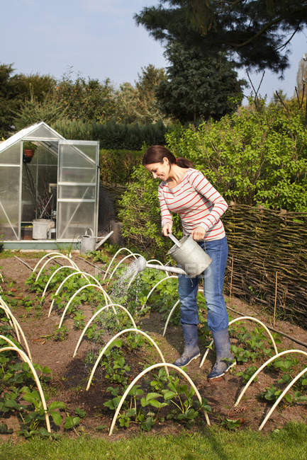 Young woman watering vegetables — Stock Photo