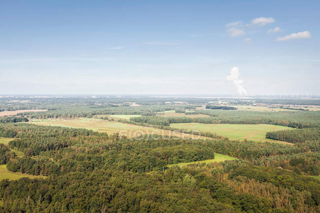 Vista da floresta em Welzow — Fotografia de Stock