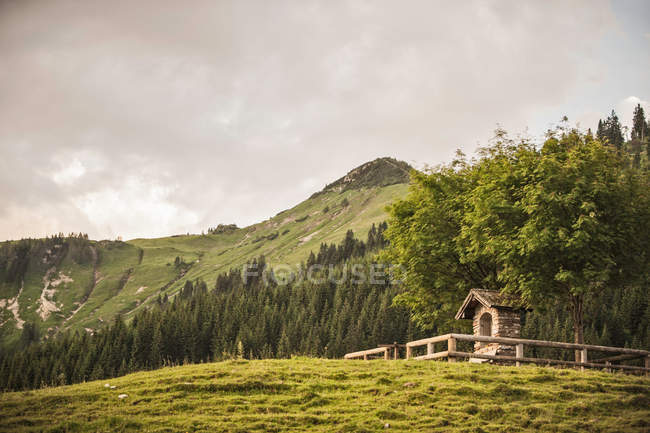 Log cabin on grassy hillside — Stock Photo