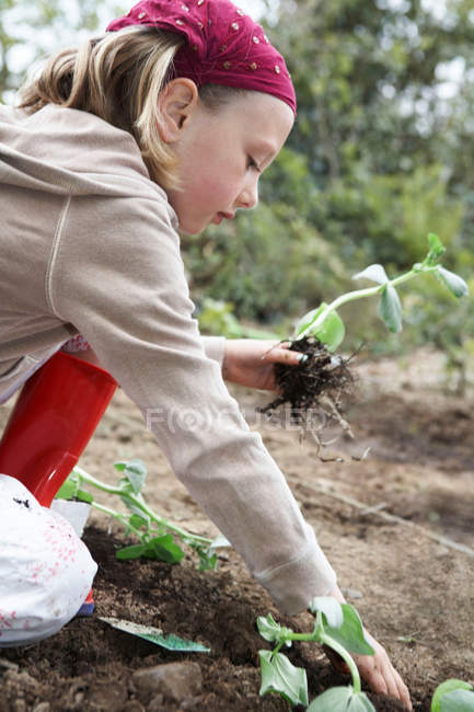 Chica joven plantando verduras - foto de stock