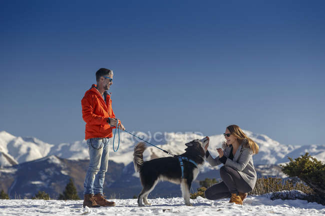 Pareja acariciando perro en nieve cubierto montaña paisaje - foto de stock