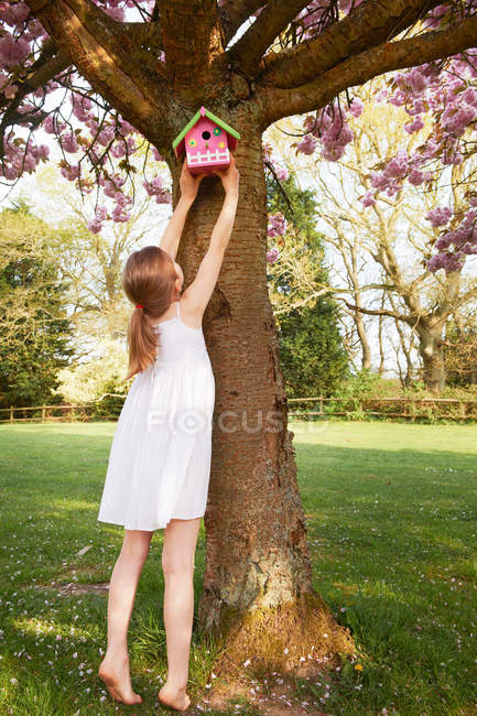 Girl hanging birdhouse in tree — Stock Photo