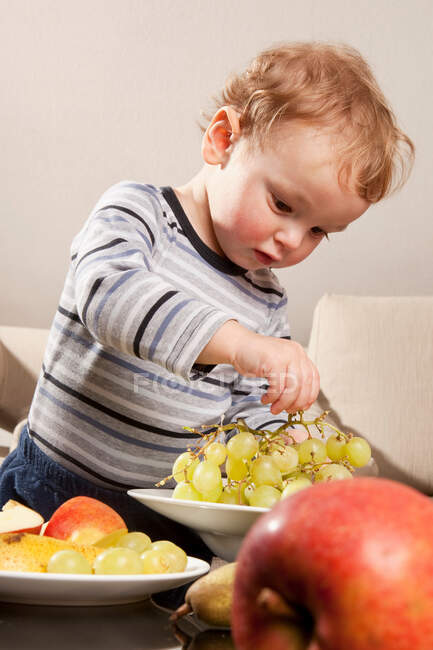 Маленький хлопчик їсть фрукти — стокове фото