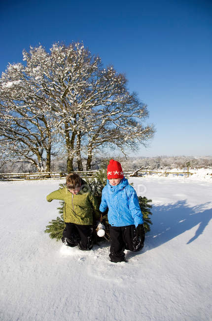 Children pulling christmas tree in snow — Stock Photo