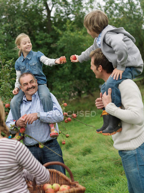 Niños y adultos recogiendo manzanas - foto de stock
