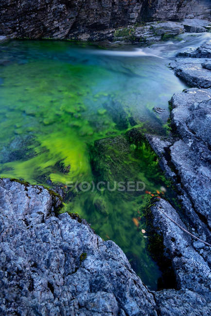 Ruisseau vert et rocher, montagnes Khibiny, péninsule de Kola, Russie — Photo de stock