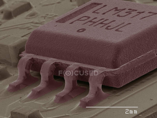 Micrógrafo electrónico de escaneo coloreado del chip del ordenador - foto de stock
