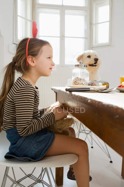 Chica y perro sentado en la mesa en la cocina - foto de stock