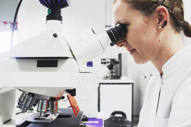 Ученый смотрит в микроскоп, фокусируется на переднем плане — стоковое фото