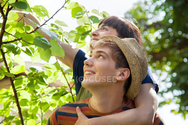 Женщина обнимает мужчину, касаясь листьев на дереве — стоковое фото