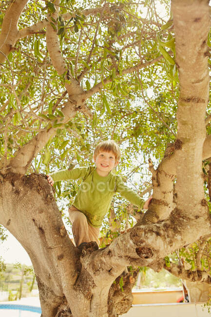 Sorrindo jovem rapaz escalando uma árvore — Fotografia de Stock