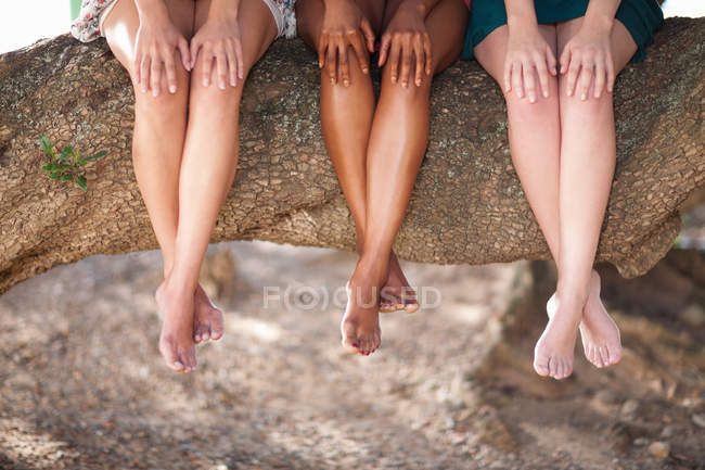 Mulheres sentadas em um galho de árvore — Fotografia de Stock