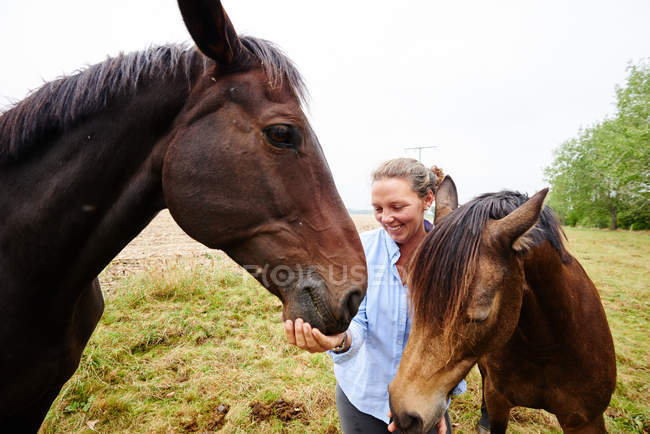 Woman feeding two horses in field — Stock Photo