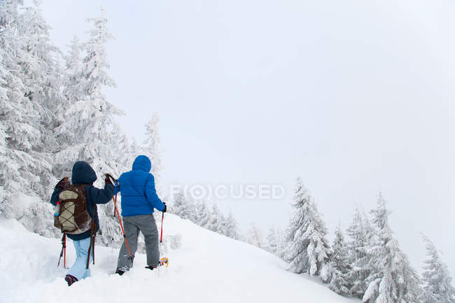 Visão traseira de pai e filho snowshoeing na encosta — Fotografia de Stock