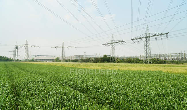 Linee elettriche di fabbrica su campi — Foto stock