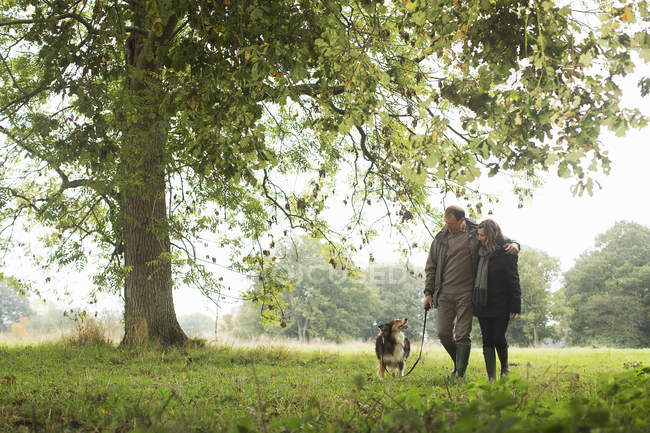 Senior couple walking dog, Norfolk, Reino Unido - foto de stock
