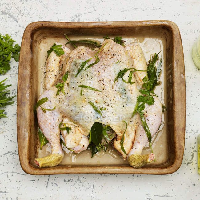 Nahaufnahme von ungekochtem mariniertem Huhn mit Senfsauce — Stockfoto