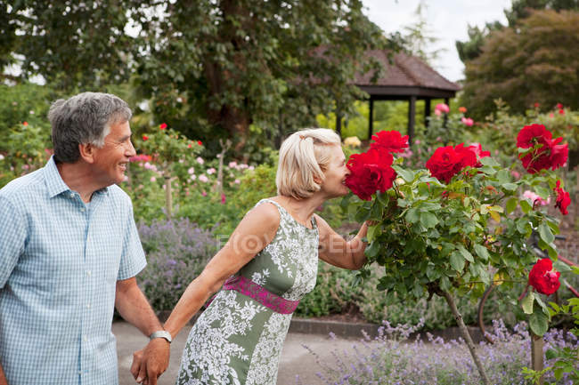Mature couple in rose garden — Stock Photo