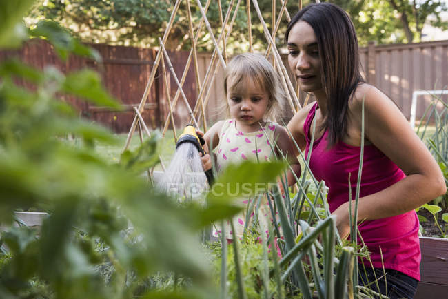 Mãe e filha no jardim, regando plantas junto com mangueira — Fotografia de Stock