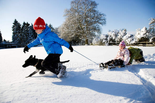 Дети играют на санях в снегу — стоковое фото