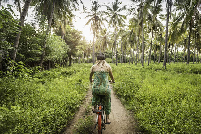 Rear view of young woman cycling in palm tree forest, Gili Meno, Lombok, Indonesia — Stock Photo