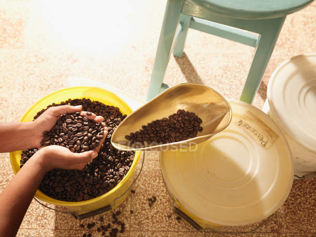 Immagine ritagliata di Hands Holding chicchi di caffè — Foto stock