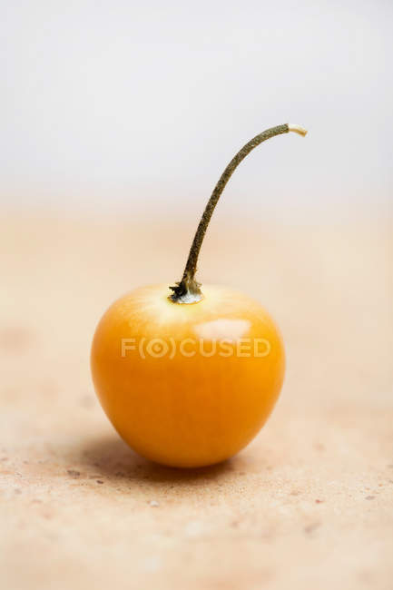 Primo piano di una physalis arancione sulla superficie — Foto stock