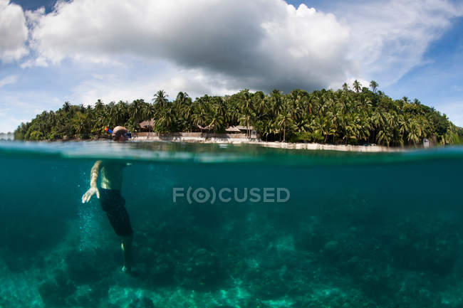 Buceador nadando en aguas tropicales - foto de stock