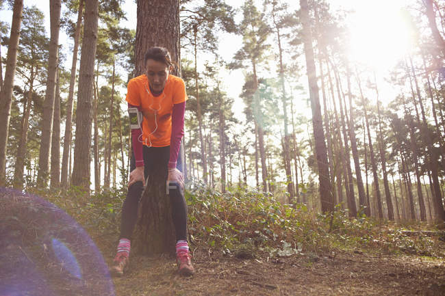 Reife Läuferin macht Pause im Wald — Stockfoto