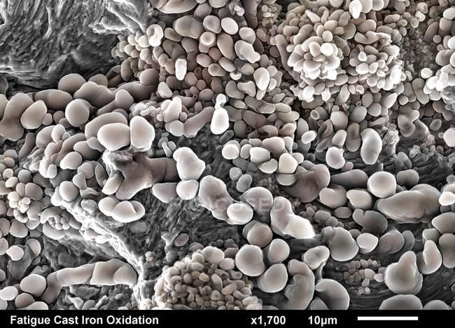 Oberfläche aus Gusseisen gebrochen. Ermüdungsstreifen unter Eisenoxidkorrosion im Rasterelektronenmikroskop abgebildet — Stockfoto