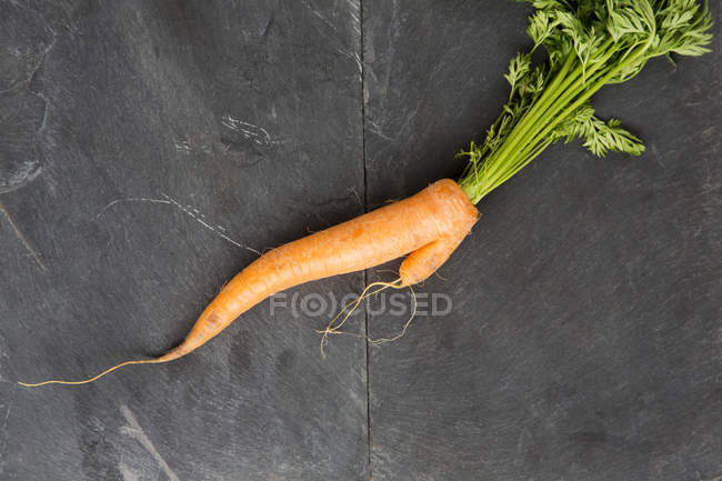Zanahoria fresca deformada - foto de stock