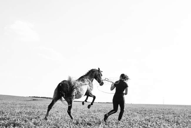 B&W image of woman training rearing horse in field — Stock Photo