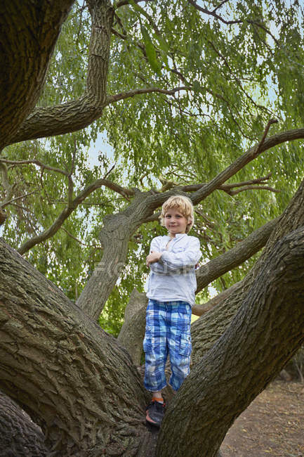 Portrait of boy standing in forest tree — Stock Photo