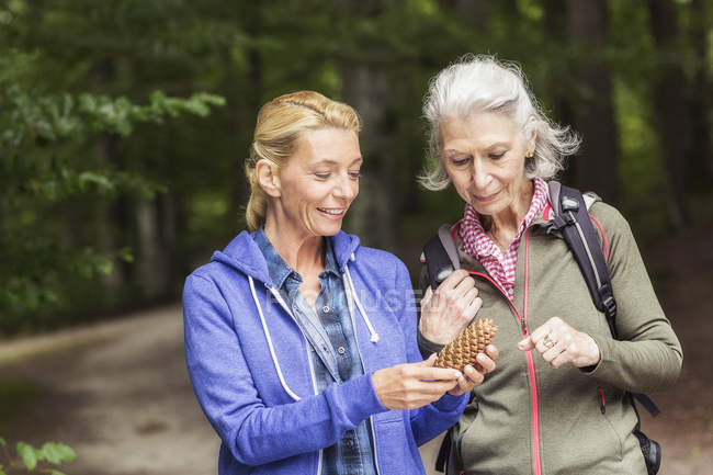 Two women holding pine cone, standing in forest — Stock Photo