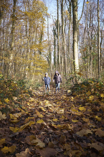 Due ragazzi dell'età elementare che camminano attraverso i boschi autunnali — Foto stock