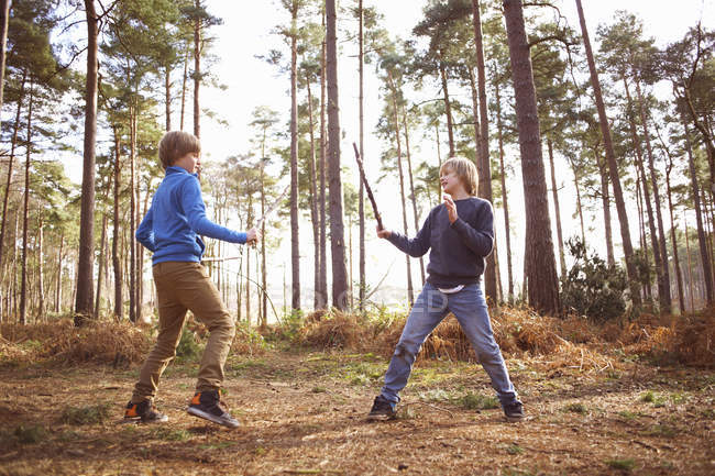 Los hermanos gemelos juegan peleando con palos en el bosque - foto de stock