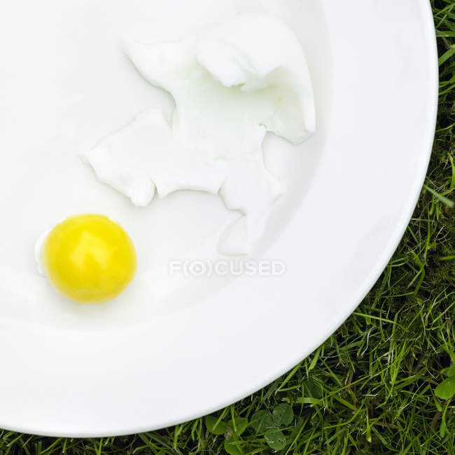 Huevo cocido en plato blanco - foto de stock