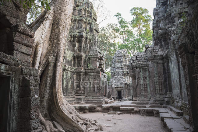 Angkor wat, siem mietere, cambogia — Foto stock